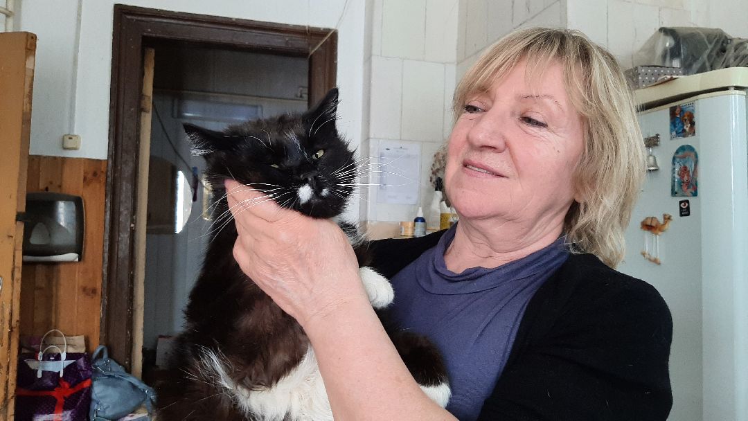 волонтеры, животные, благотворительность, Серпухов