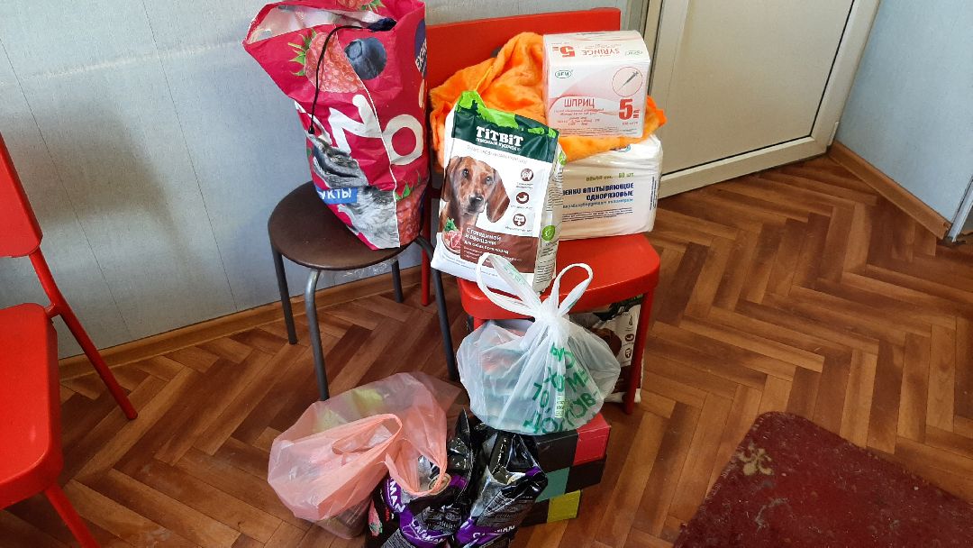 волонтеры, животные, благотворительность, Серпухов