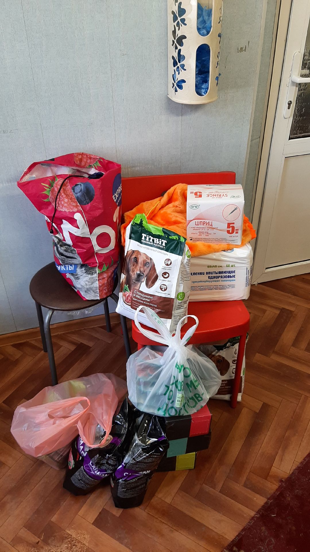 волонтеры, животные, благотворительность, Серпухов