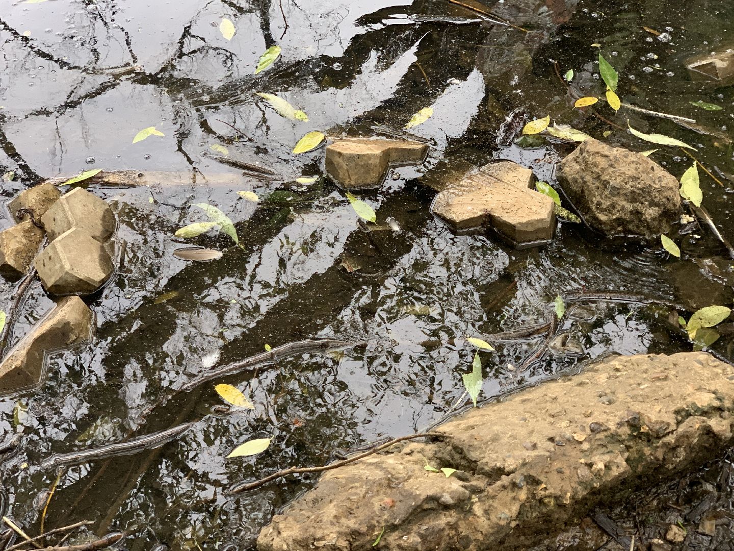 Балашиха, Подмосковье, экология, акции, Вода России