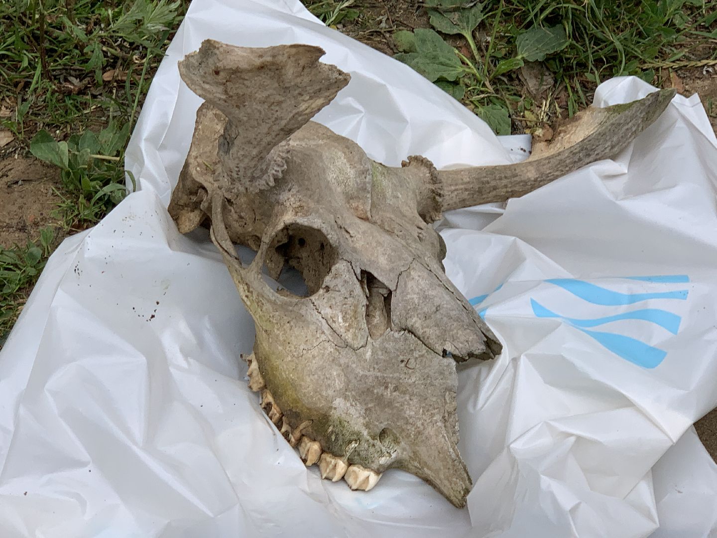 Балашиха, Подмосковье, экология, акции, Вода России