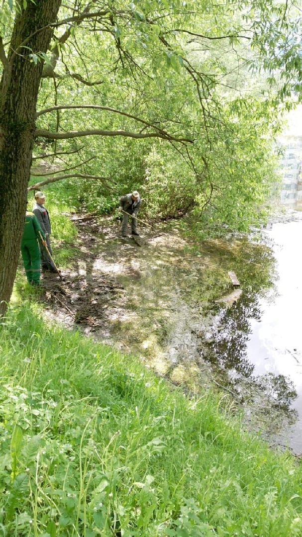 экология, благоустройство, чистка прудов, Котельники