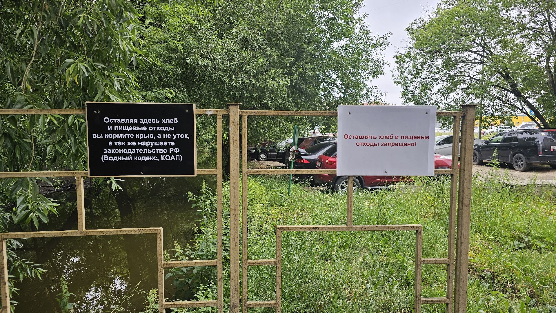 экология, благоустройство, чистка прудов, Котельники