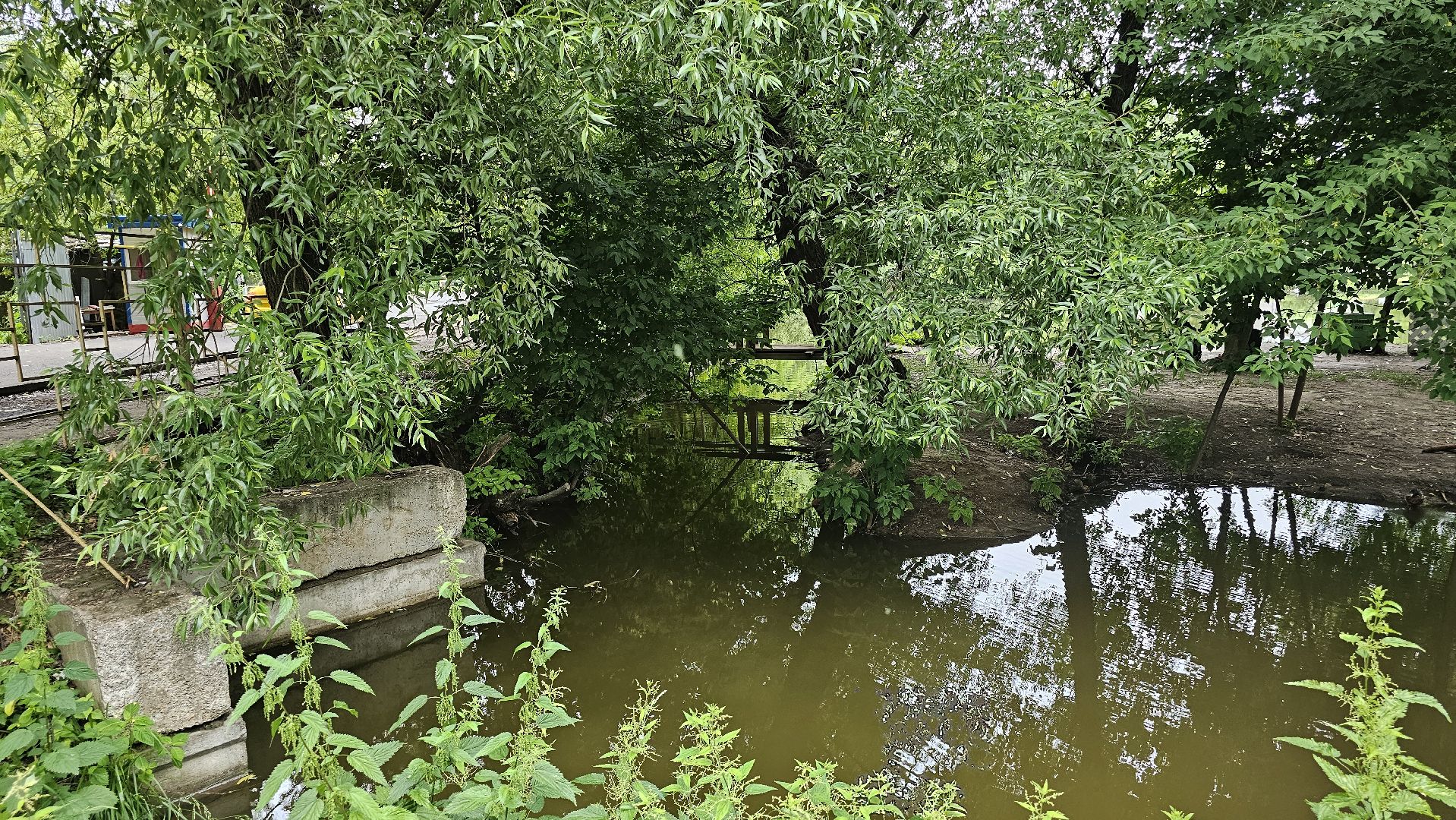 экология, благоустройство, чистка прудов, Котельники