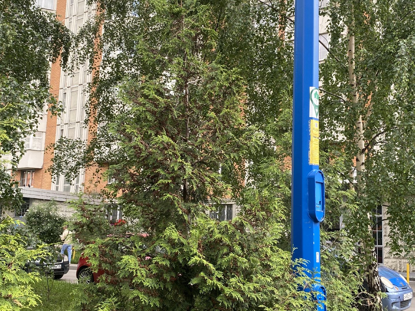 Химки, электричество, станции, электромобиль