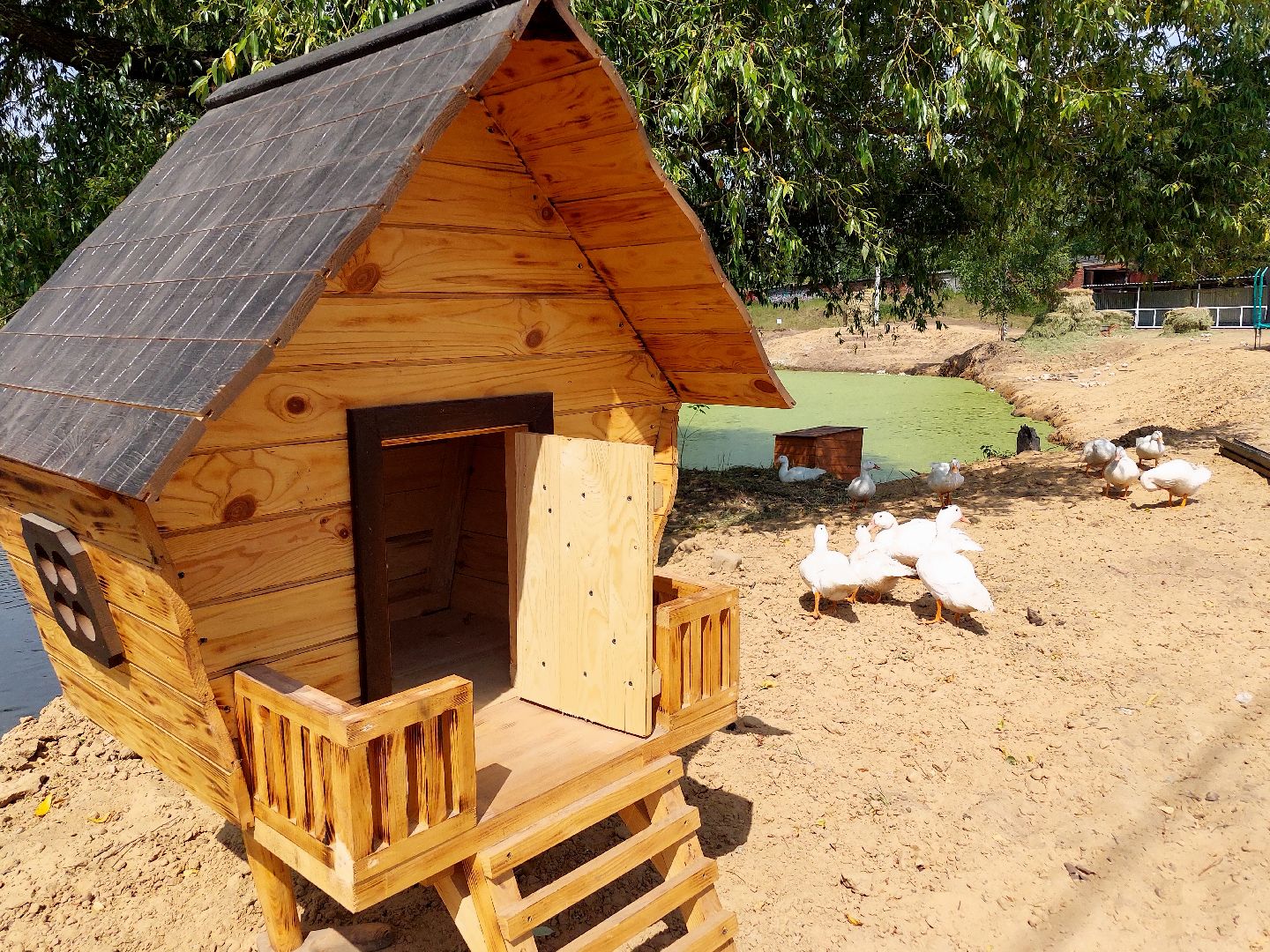 фермер, Воскресенск, сельское хозяйство, контактный зоопарк, животные