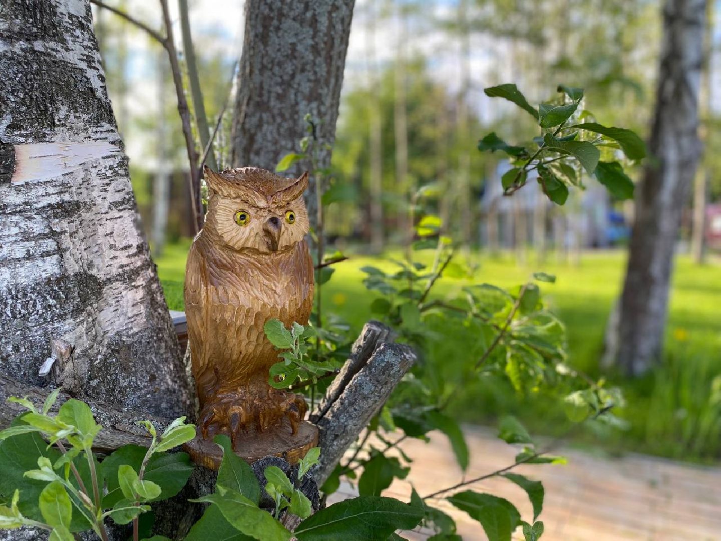 #солнечныйберег, #сергейтарашкевич, #резьбаподереву, #искусство, #магиядерева