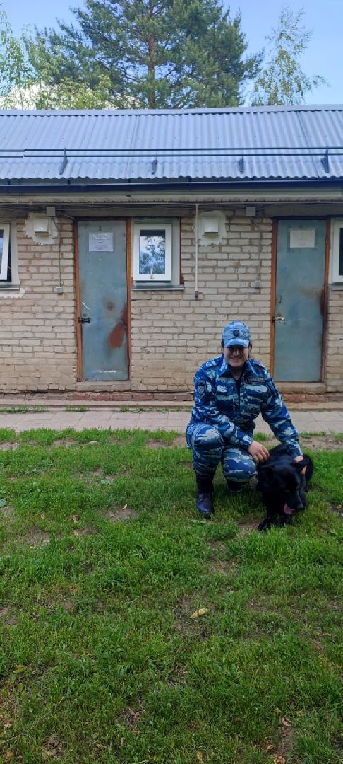 Полиция, Кинолог, МВД, МВД России, Пушкино, Пушкинский округ