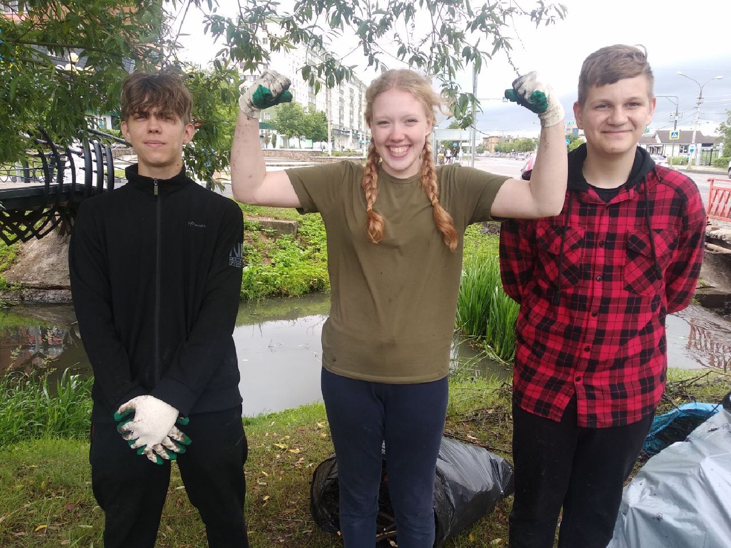 Дмитров, Березовец, Экология