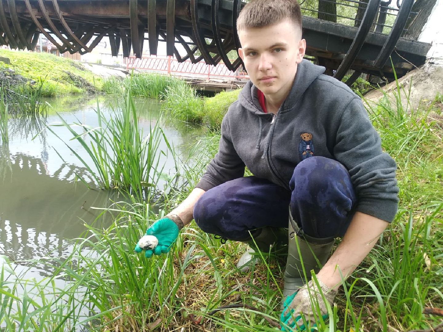 Дмитров, Березовец, Экология