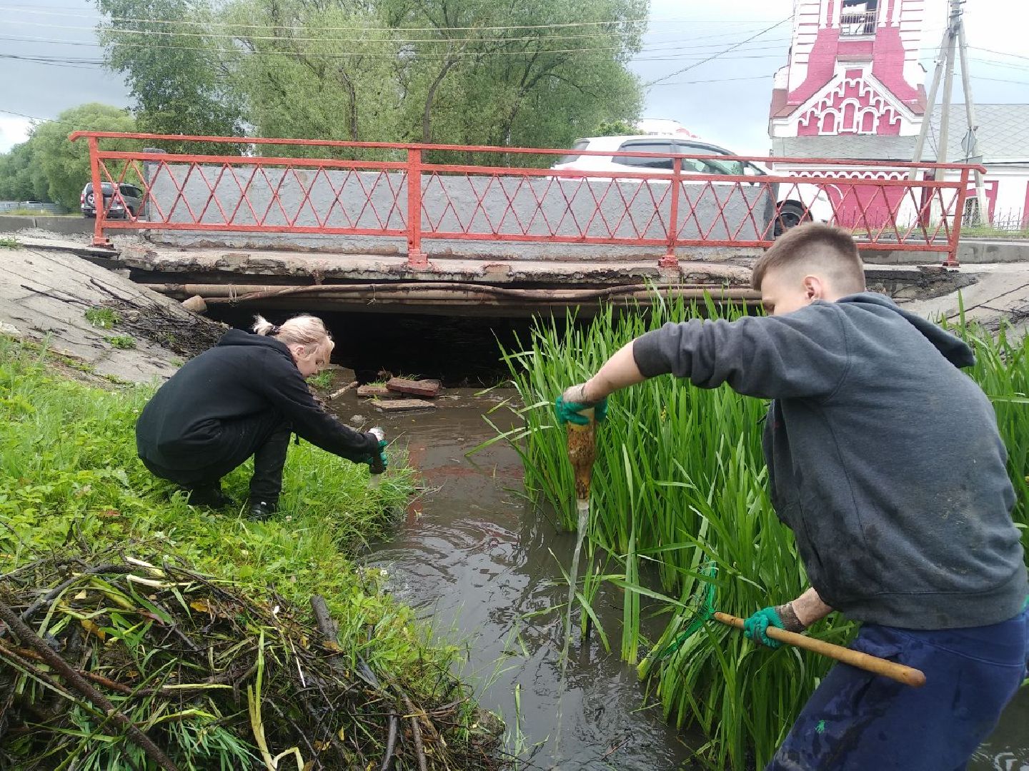 Дмитров, Березовец, Экология
