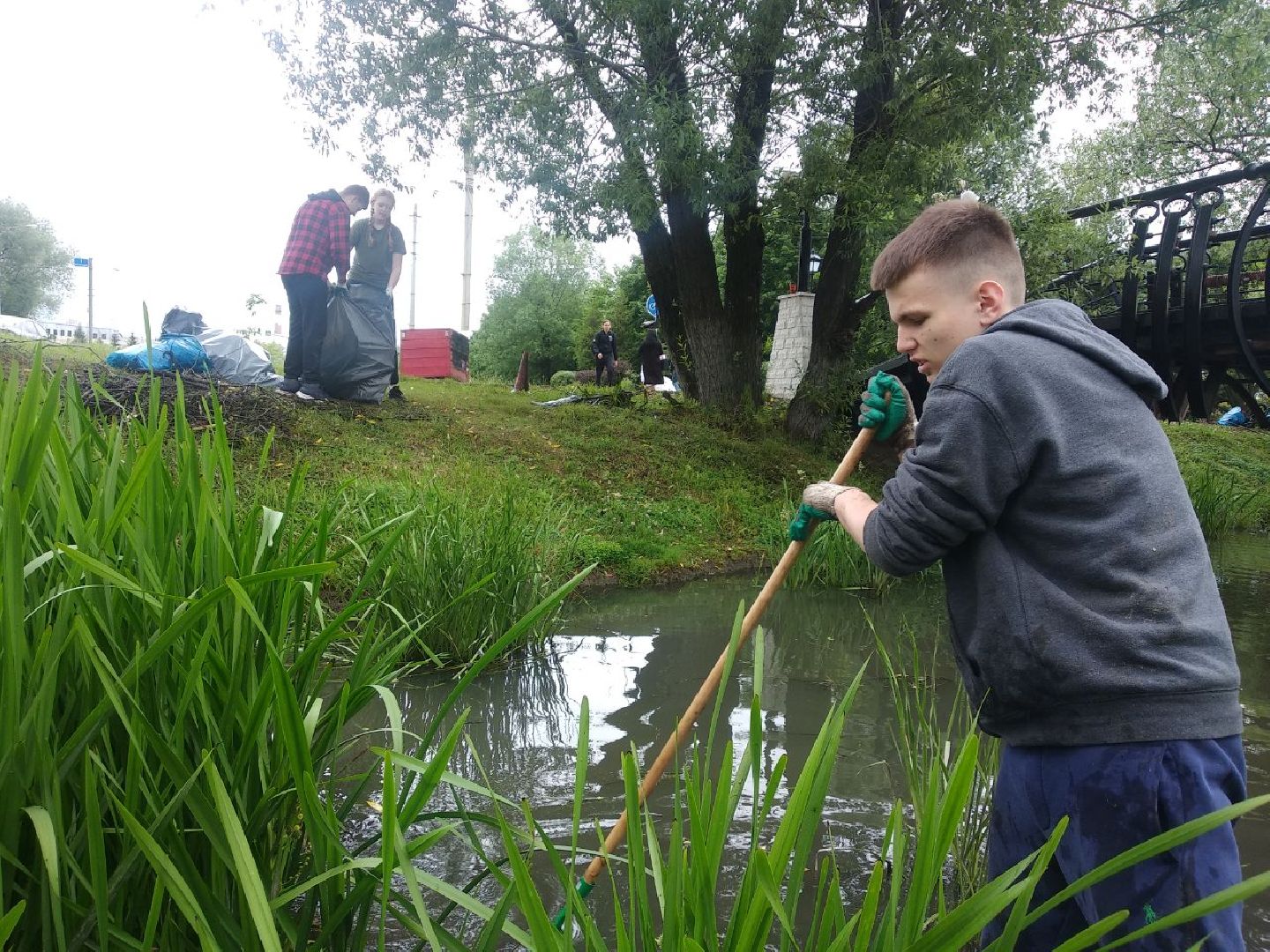 Дмитров, Березовец, Экология