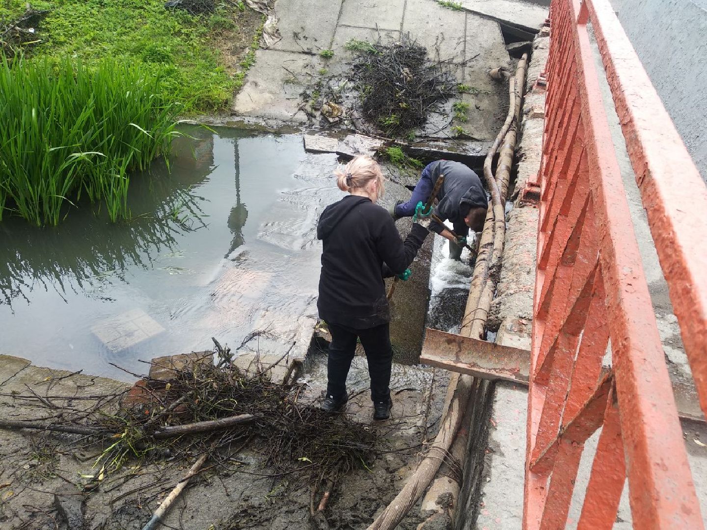 Дмитров, Березовец, Экология