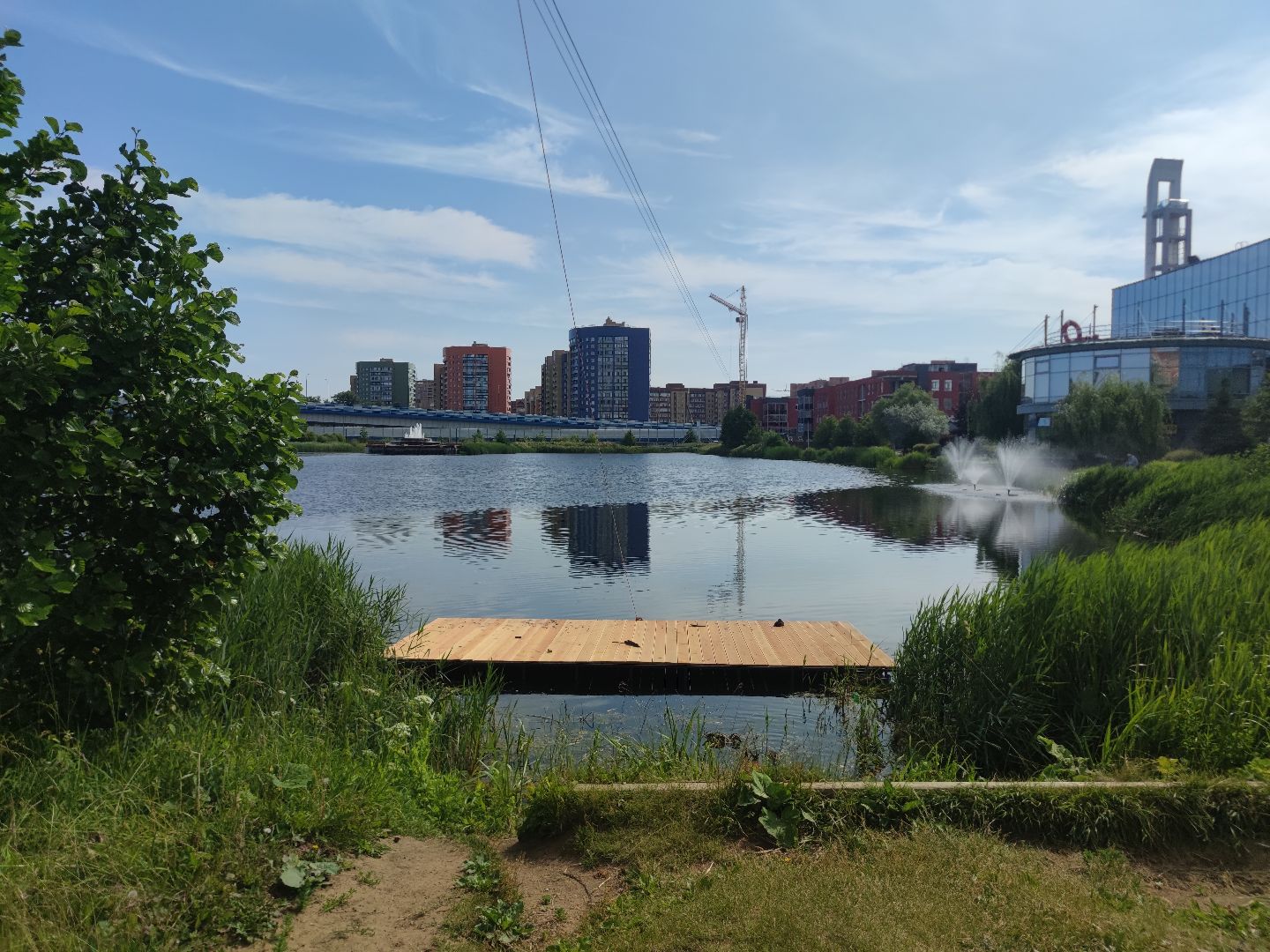 Экология, корм для уток, автомат, Дубна