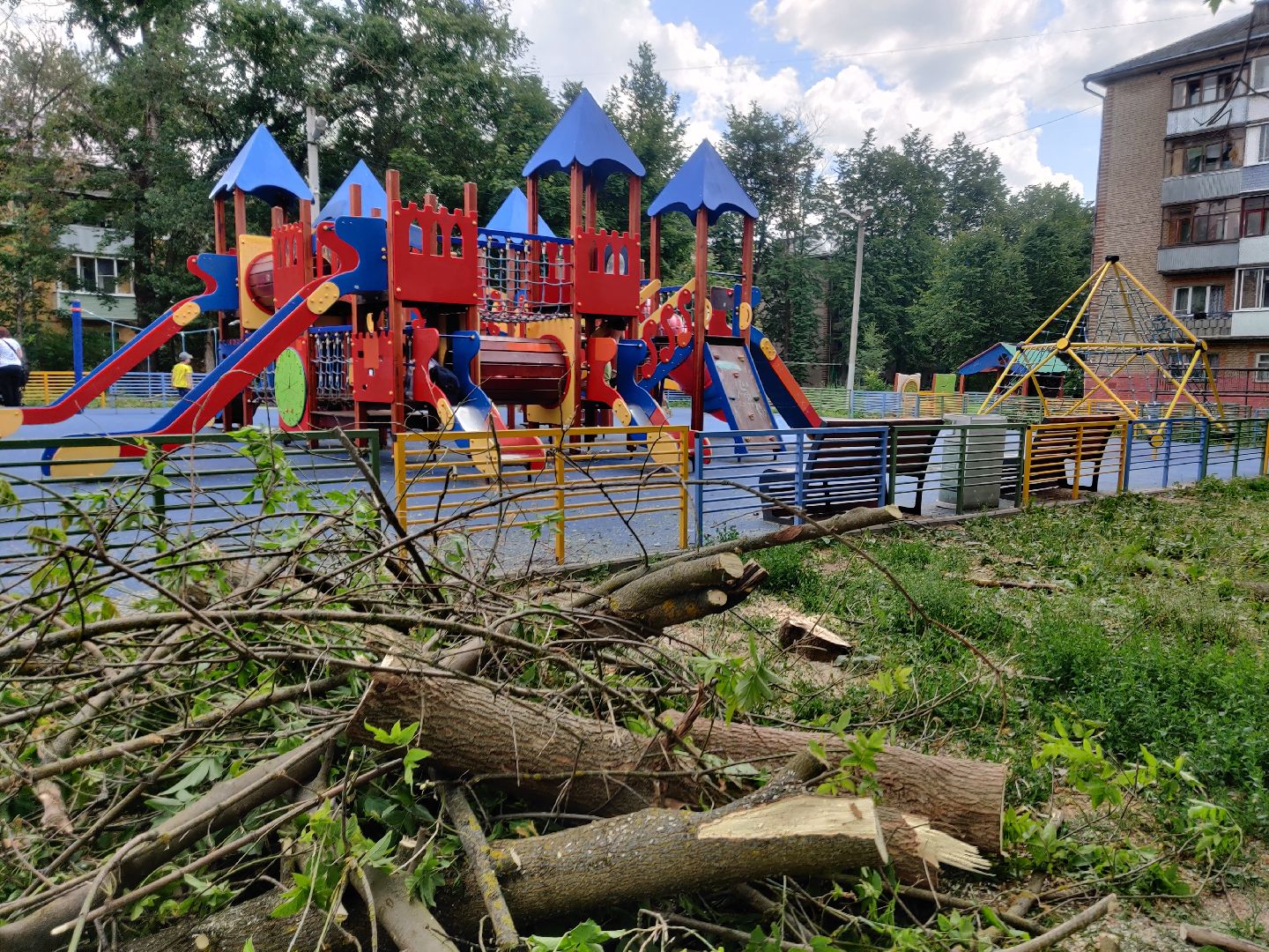 Красноармейск, Пушкинский, уборка дворов, покос травы, опиловка деревьев, ремонт лестницы