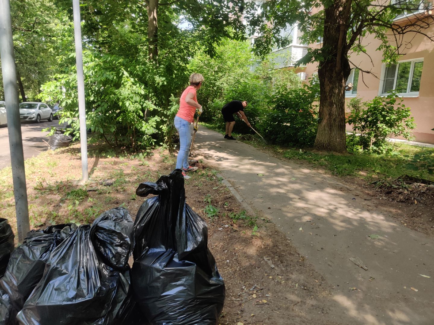 Красноармейск, Пушкинский, уборка дворов, покос травы, опиловка деревьев, ремонт лестницы