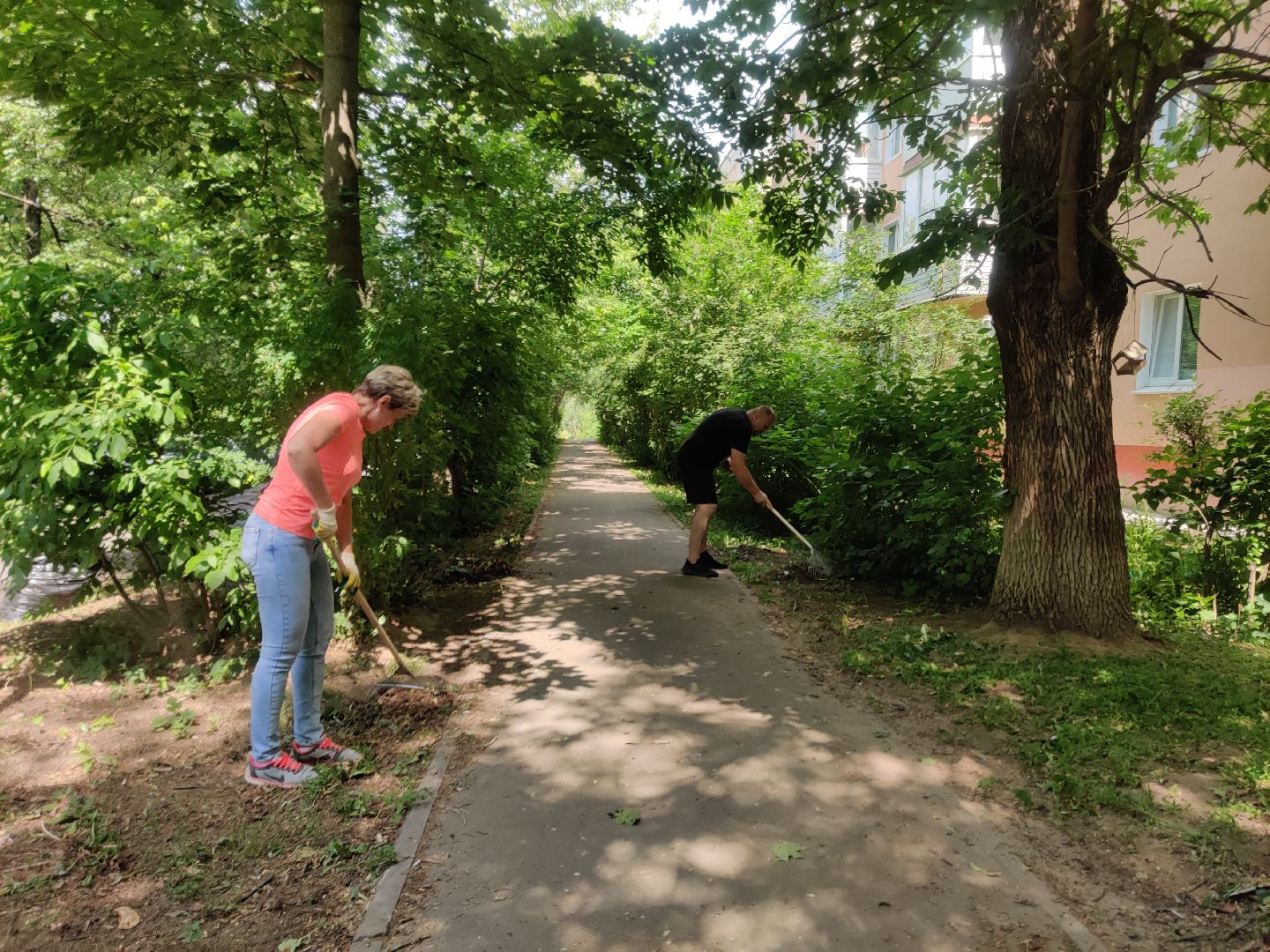 Красноармейск, Пушкинский, уборка дворов, покос травы, опиловка деревьев, ремонт лестницы