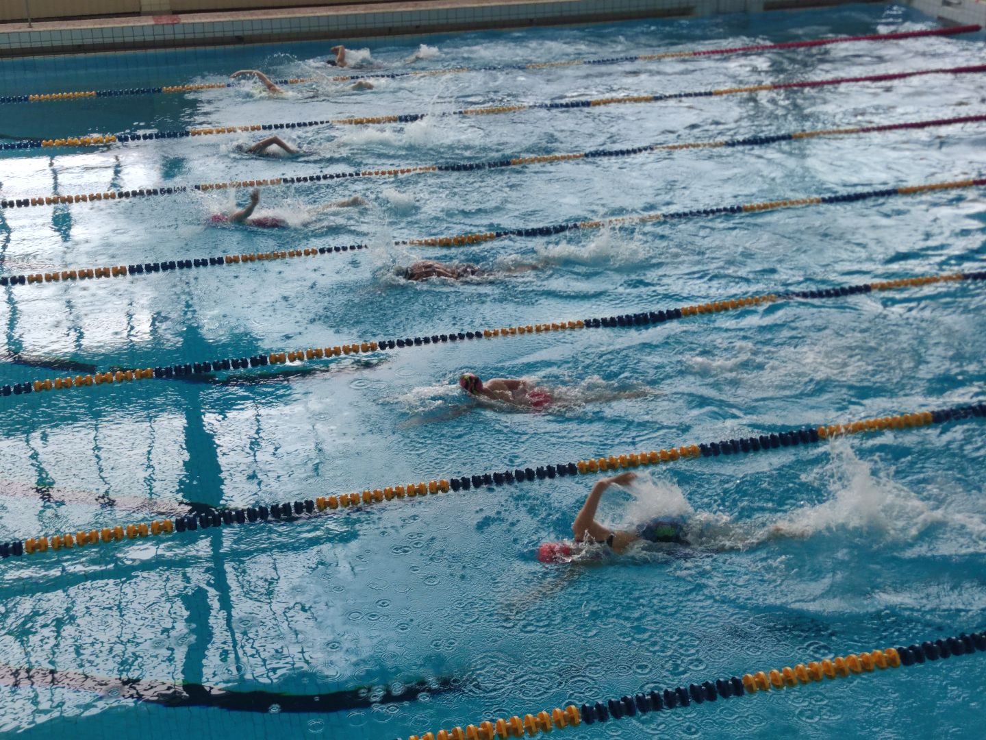 бассейн, Дубна, ОИЯИ