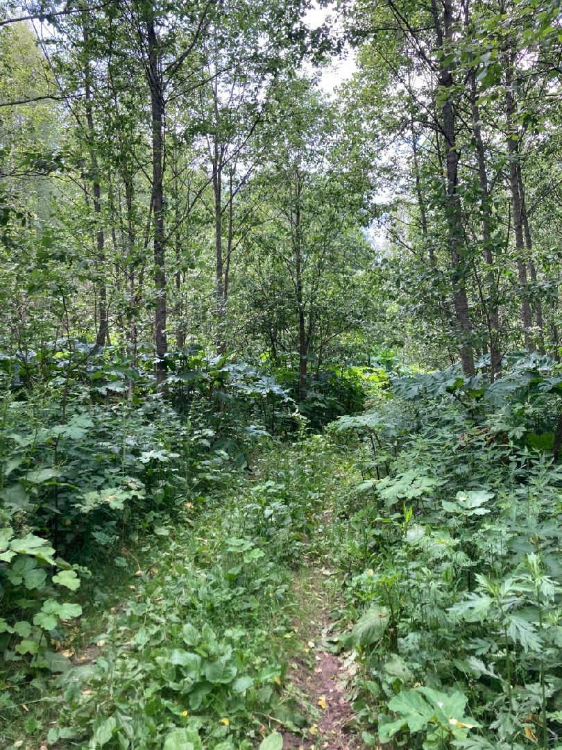 Солнечногорск, история, Татищев, экотропа, туризм