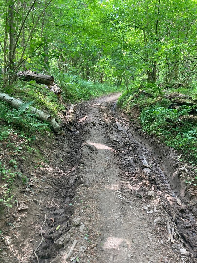 Солнечногорск, история, Татищев, экотропа, туризм