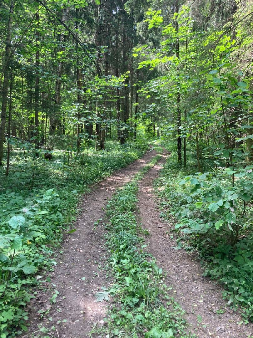 Солнечногорск, история, Татищев, экотропа, туризм