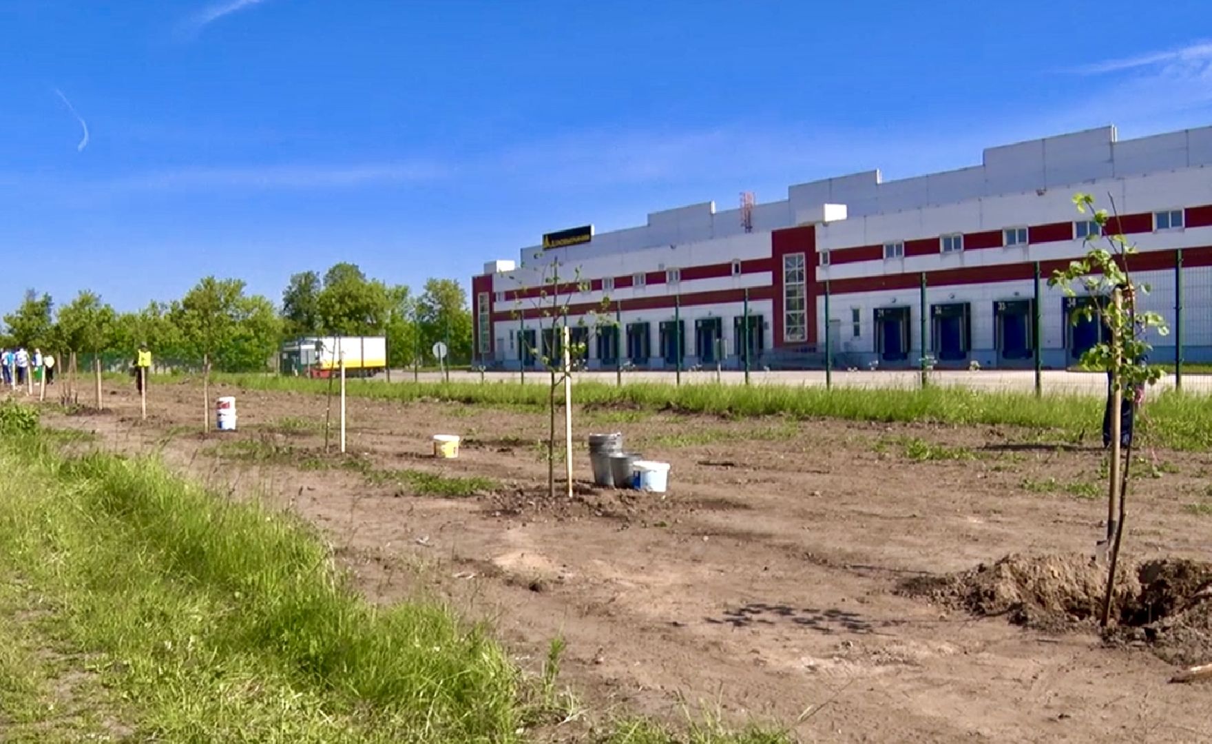 Клин, благоустройство, общество, экология, высадка деревьев