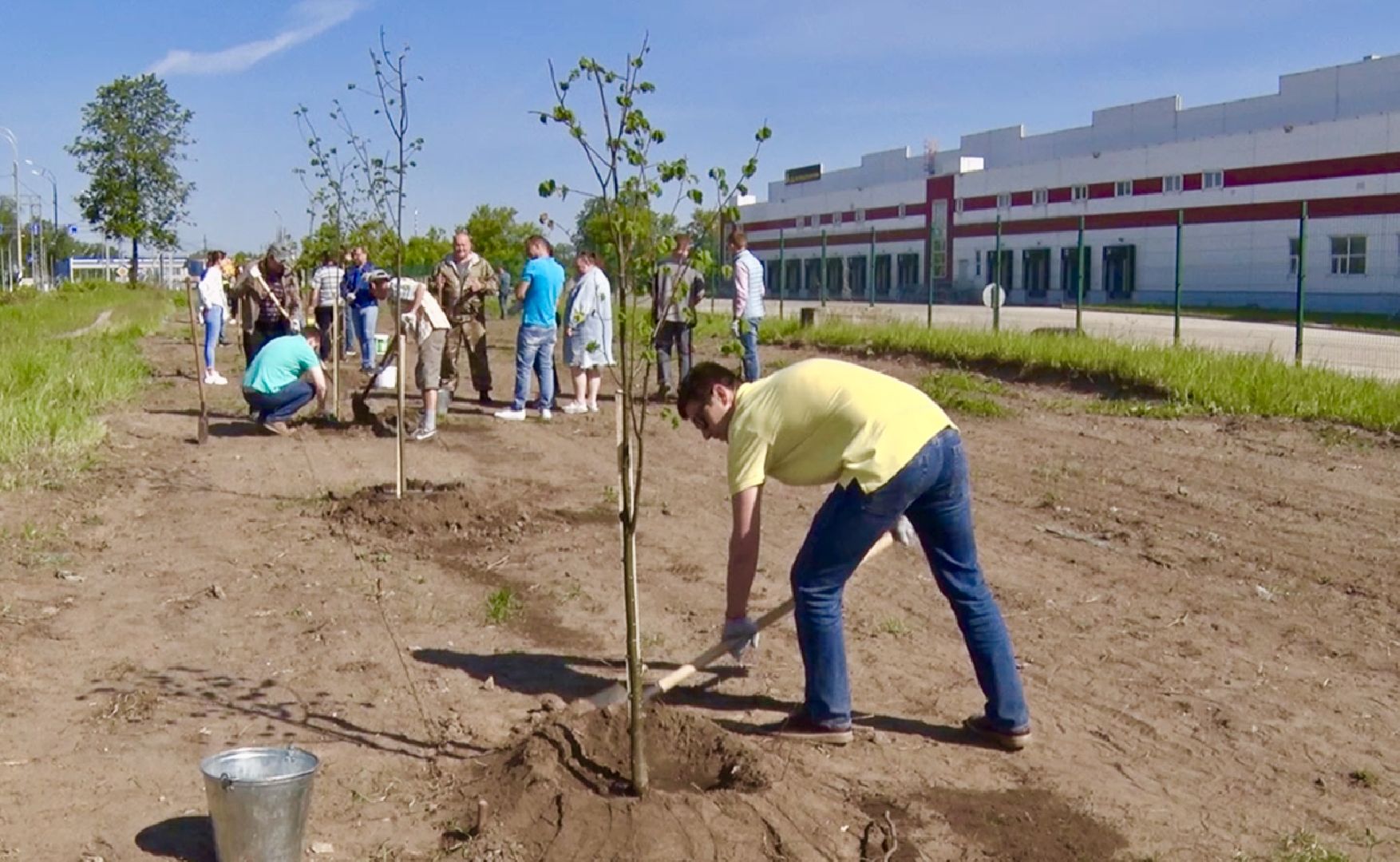 Клин, благоустройство, общество, экология, высадка деревьев