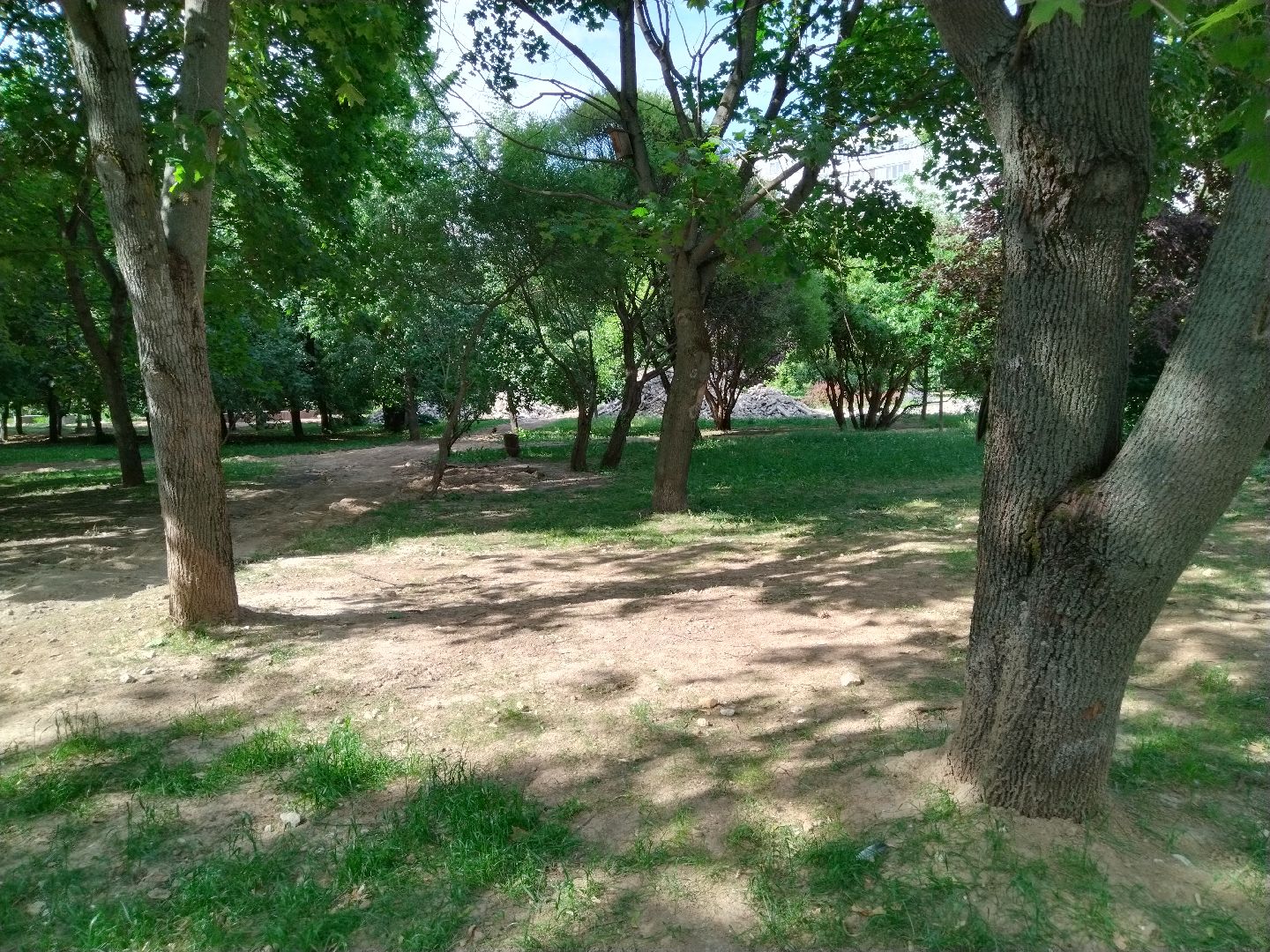 Бульвар ветеранов, Нина Распопова, Мытищи, благоустройство