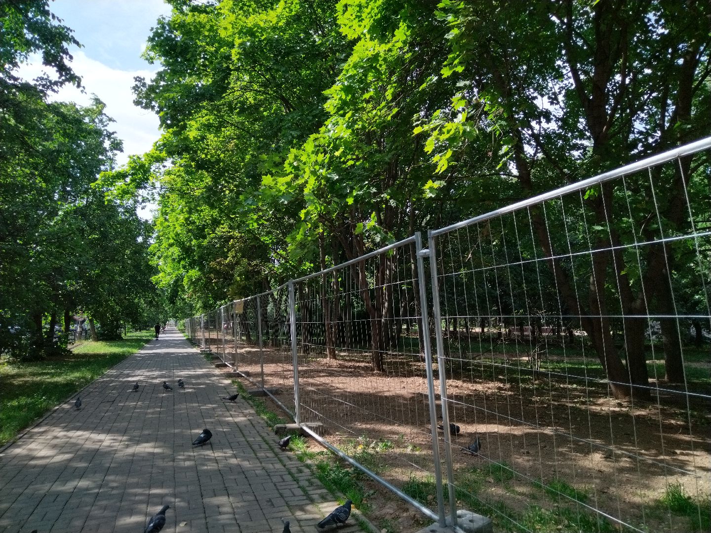 Бульвар ветеранов, Нина Распопова, Мытищи, благоустройство