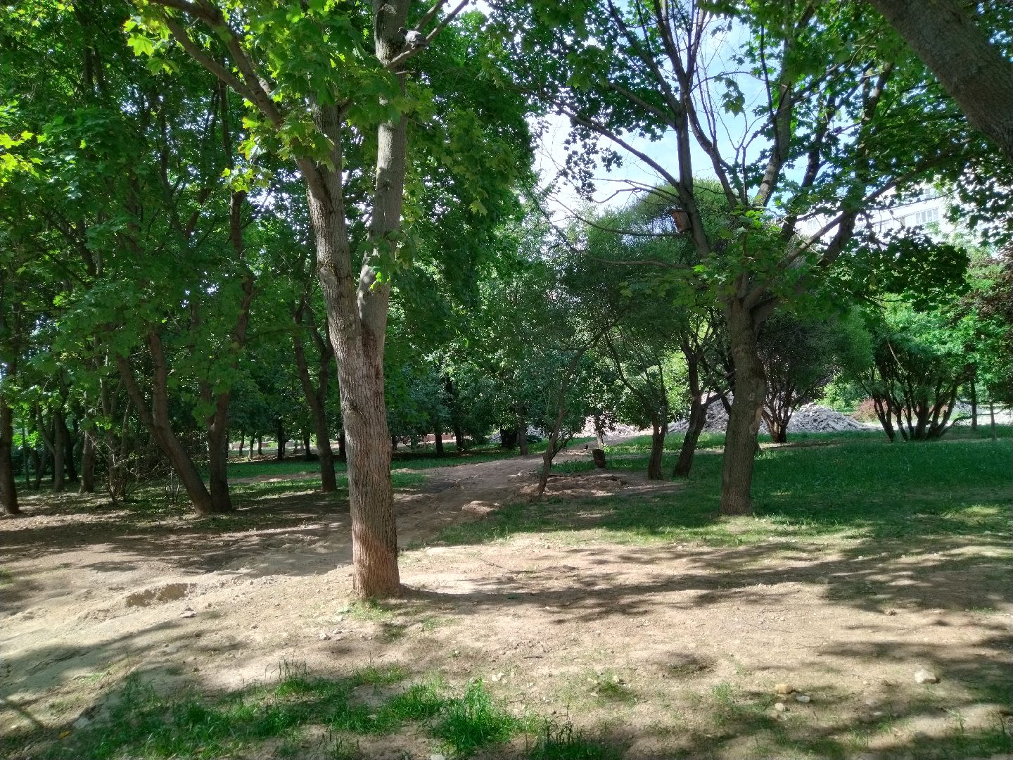 Бульвар ветеранов, Нина Распопова, Мытищи, благоустройство