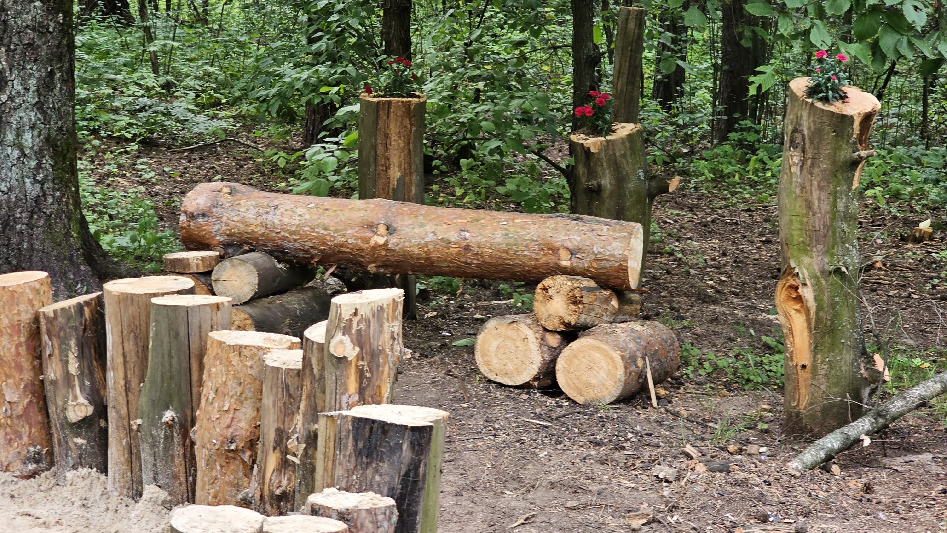 ИП Никифоров. благоустройство, Кузьминский лесопарк, Котельники