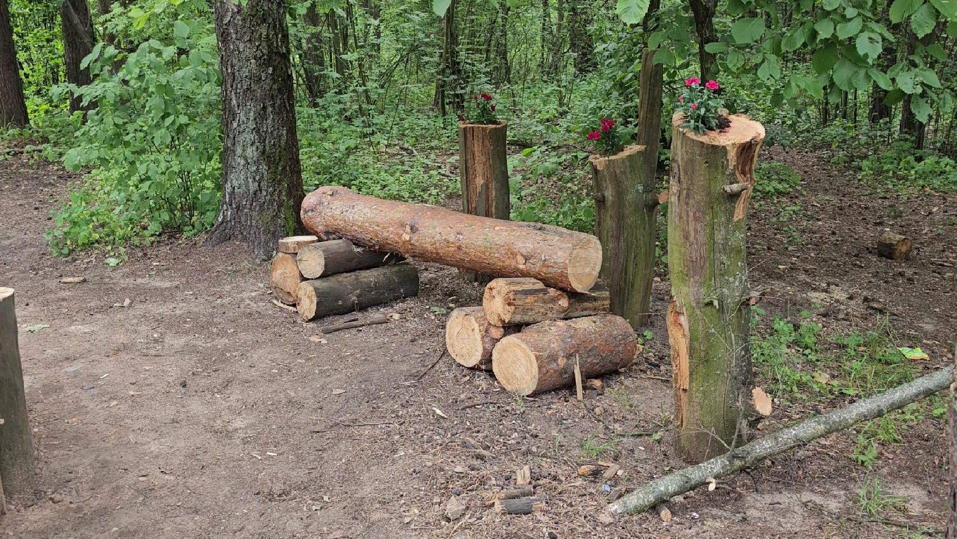 ИП Никифоров. благоустройство, Кузьминский лесопарк, Котельники