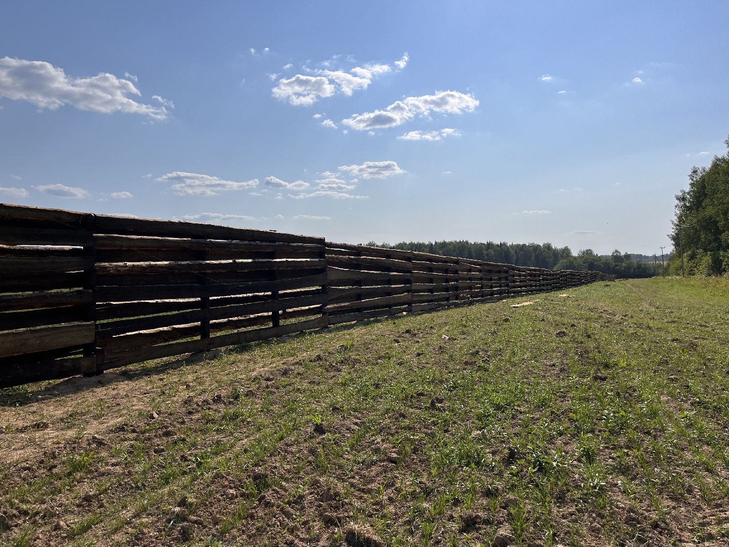 Шаховская, база отдыха, компания, предприятие