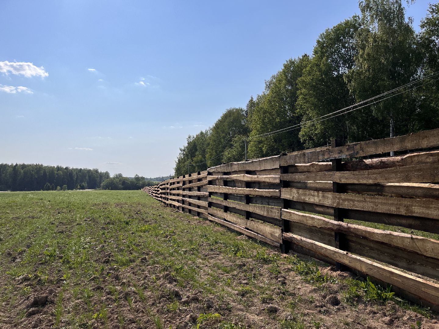 Шаховская, база отдыха, компания, предприятие