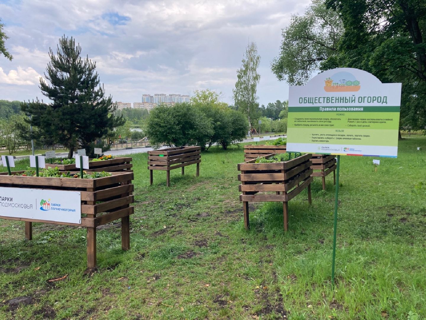 Солнечногорск, ДТП, вандализм, общественный огород, акция