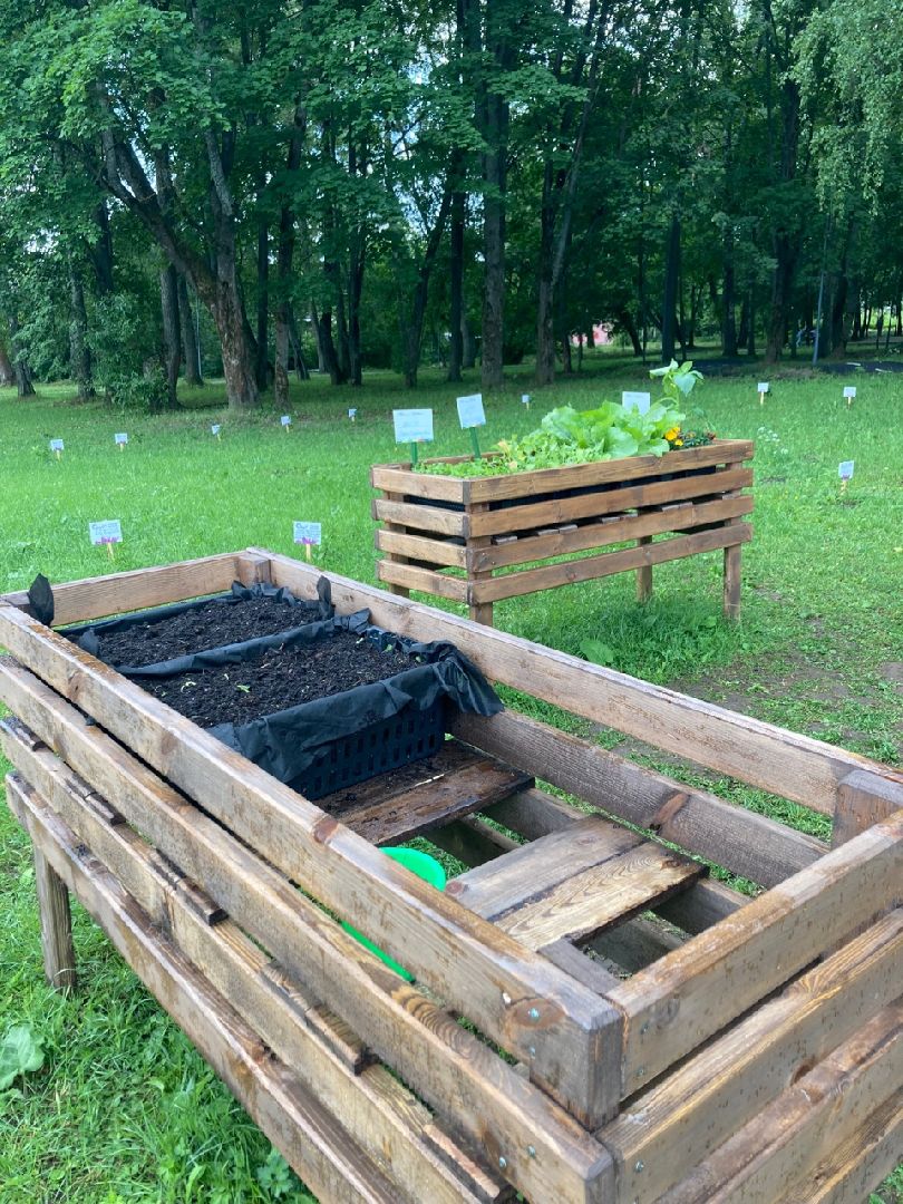 Солнечногорск, ДТП, вандализм, общественный огород, акция