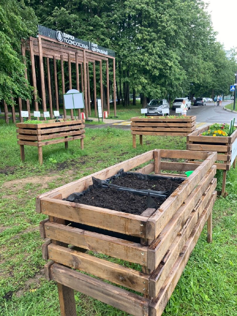 Солнечногорск, ДТП, вандализм, общественный огород, акция