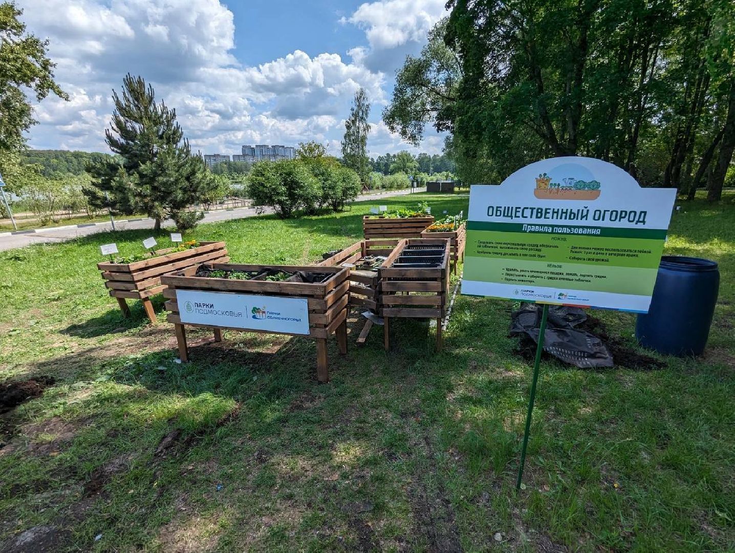 Солнечногорск, ДТП, вандализм, общественный огород, акция