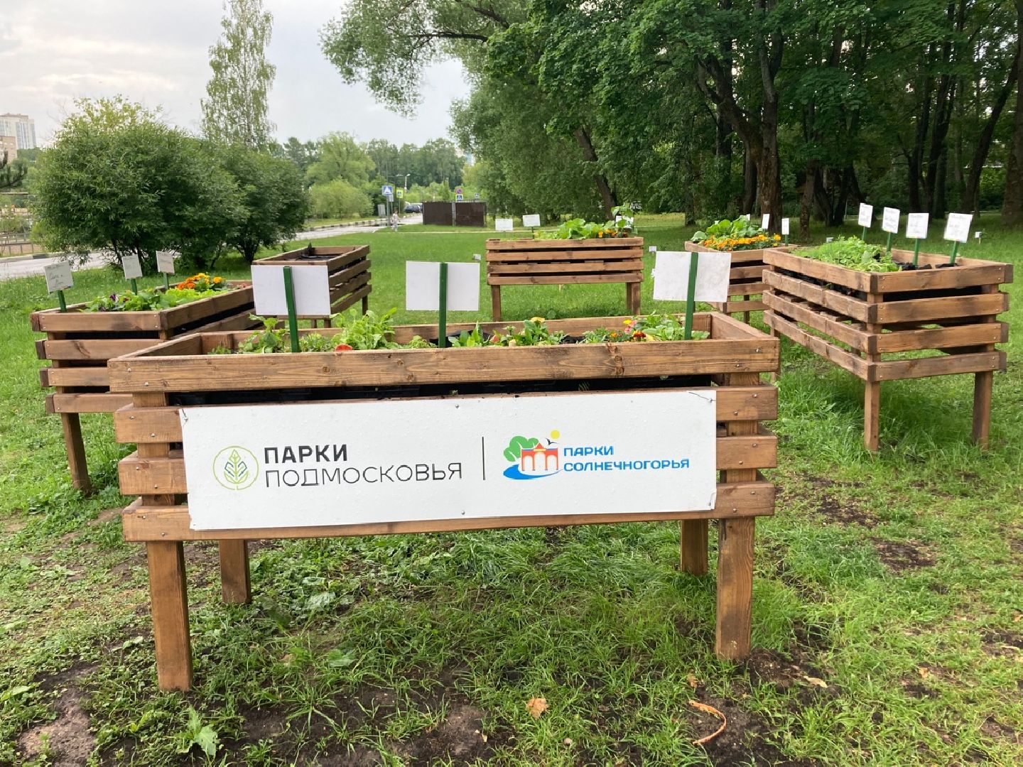 Солнечногорск, ДТП, вандализм, общественный огород, акция