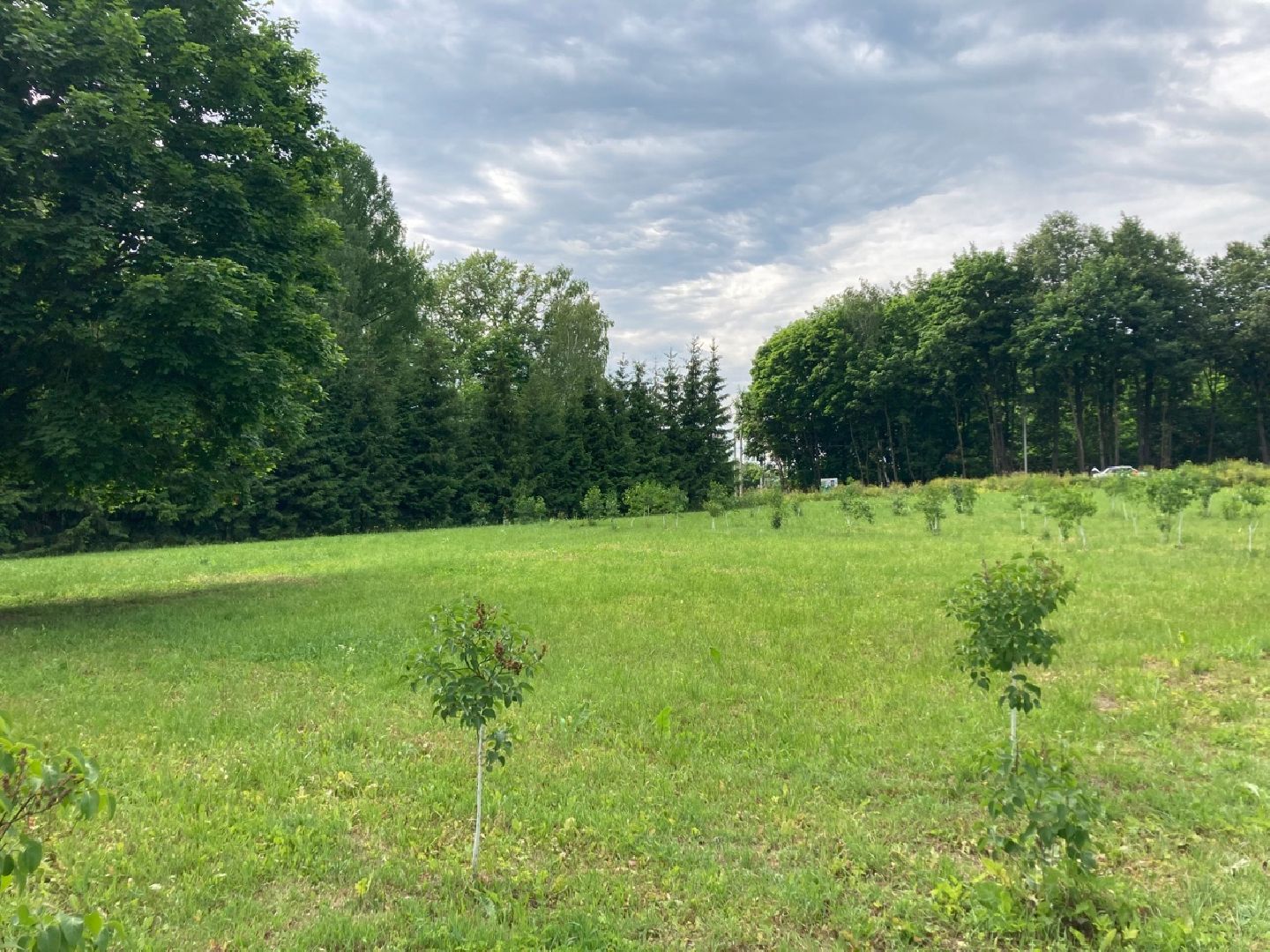 Солнечногорск, благоустройство, голосование, детская площадка, церковь