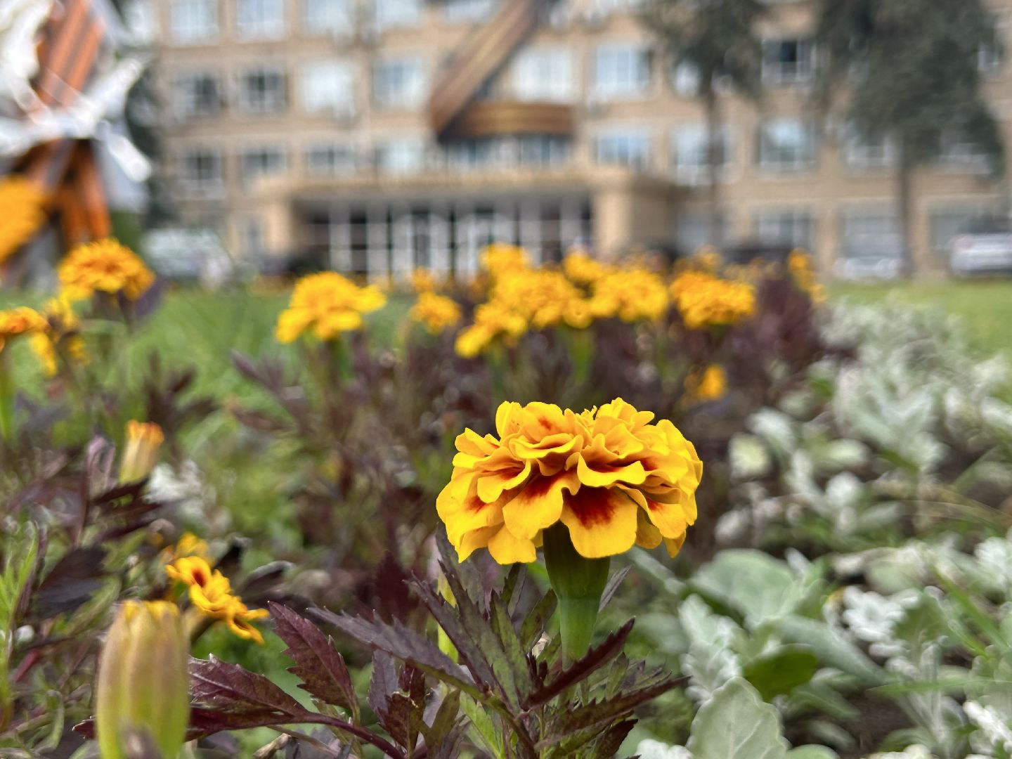 благоустройство, Щёлково