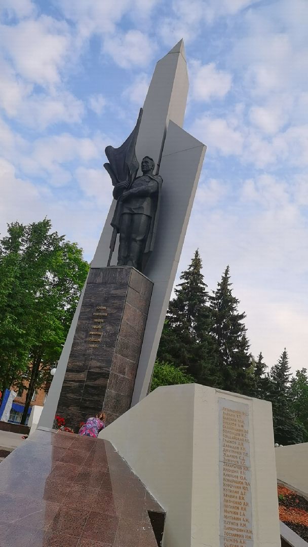 Пушкино, волонтеры, доброе сердце, семья, Пушкинский округ