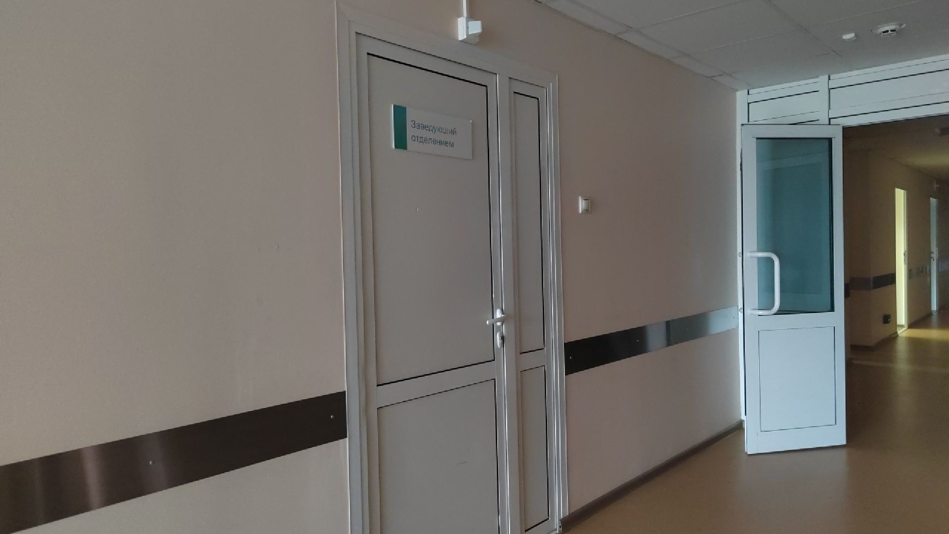 Пушкино, медицина, здравоохранение, помощь, Пушкинский округ