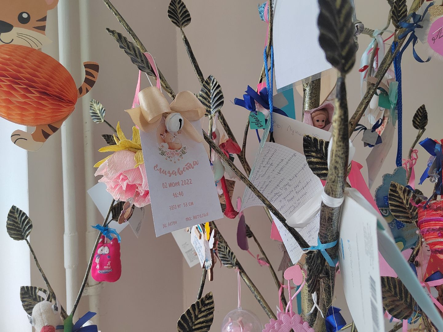 Пушкино, медицина, здравоохранение, помощь, Пушкинский округ