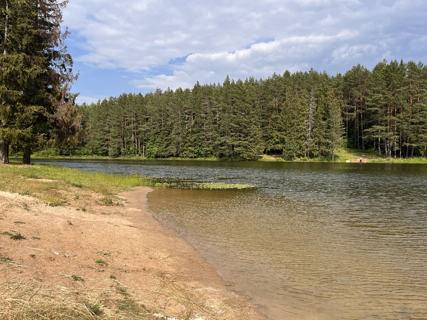 Шаховская, отдых, плотина, песок