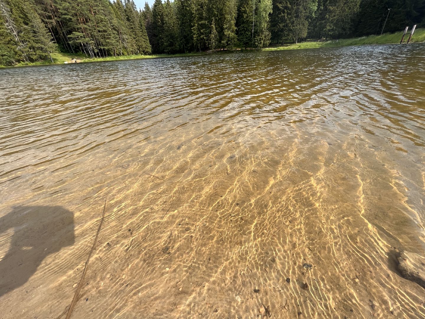 Шаховская, отдых, плотина, песок