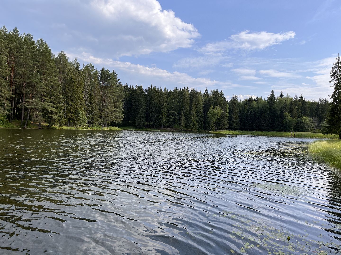 Шаховская, отдых, плотина, песок