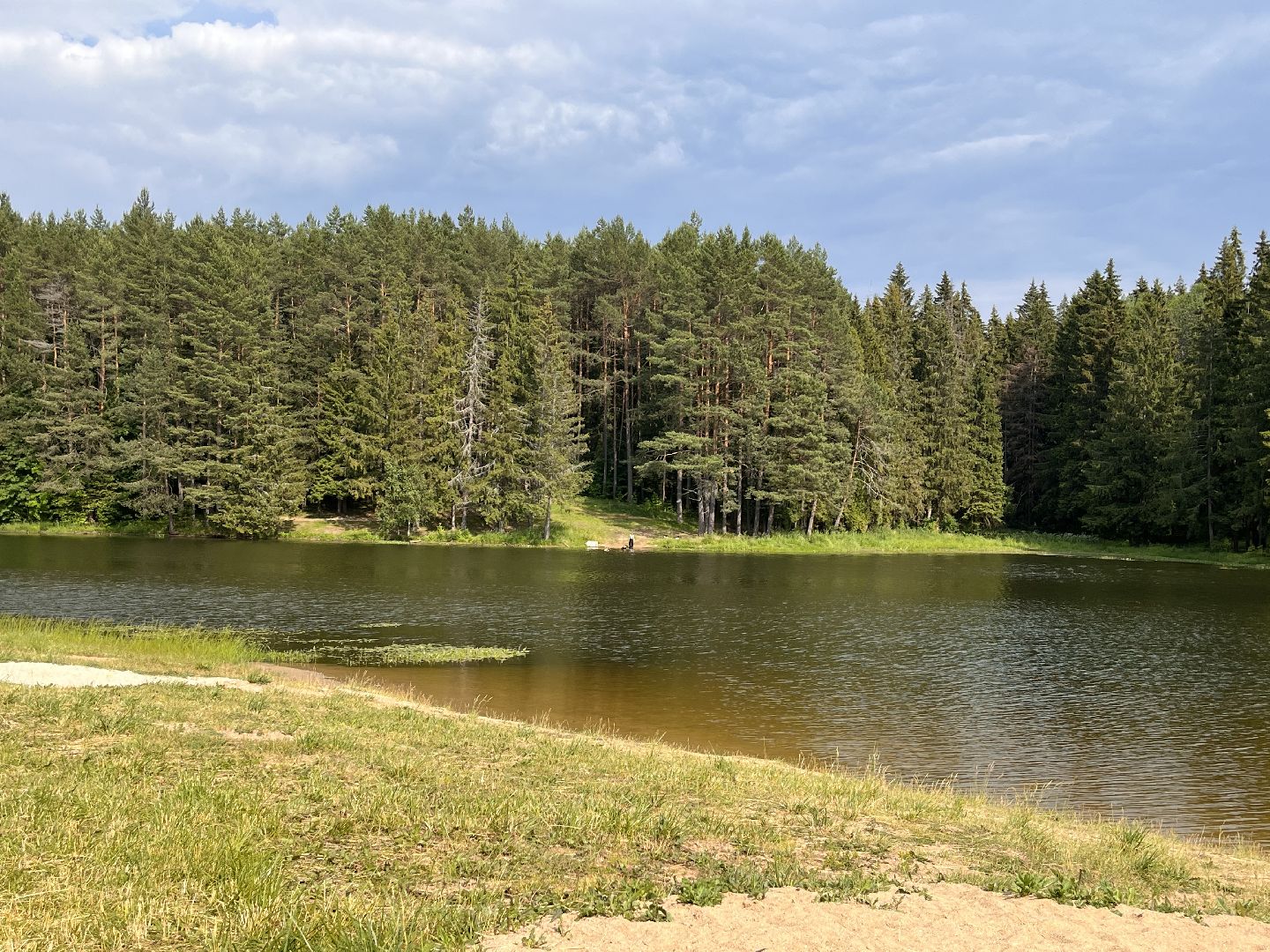 Шаховская, отдых, плотина, песок