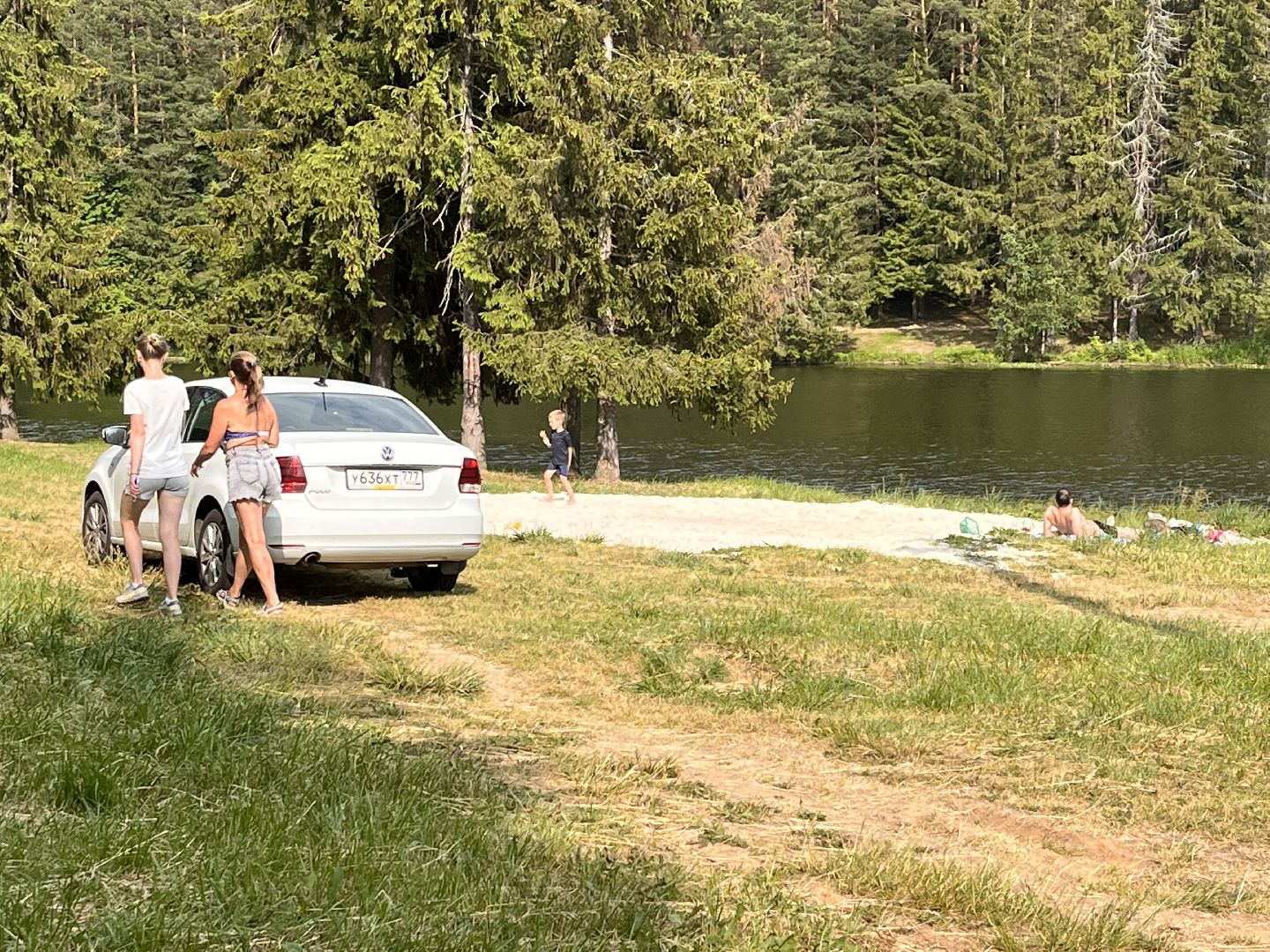 Шаховская, отдых, плотина, песок