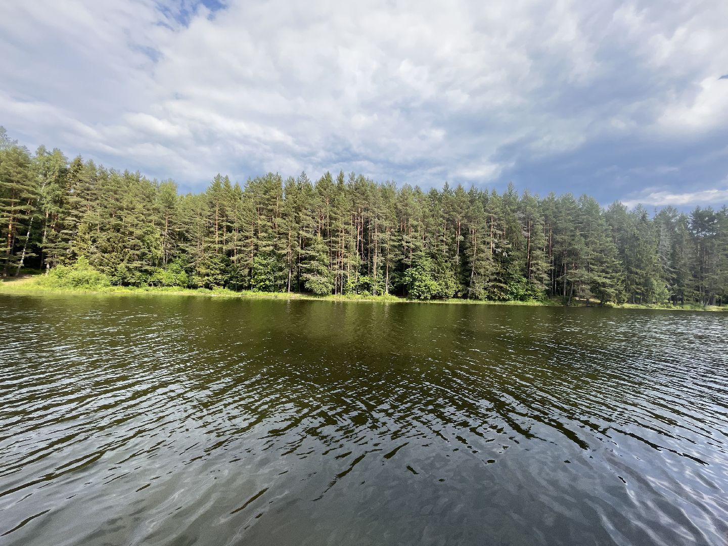 Шаховская, отдых, плотина, песок